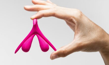 Tout savoir sur le clitoris : anatomie, fonctions et stimulation optimale