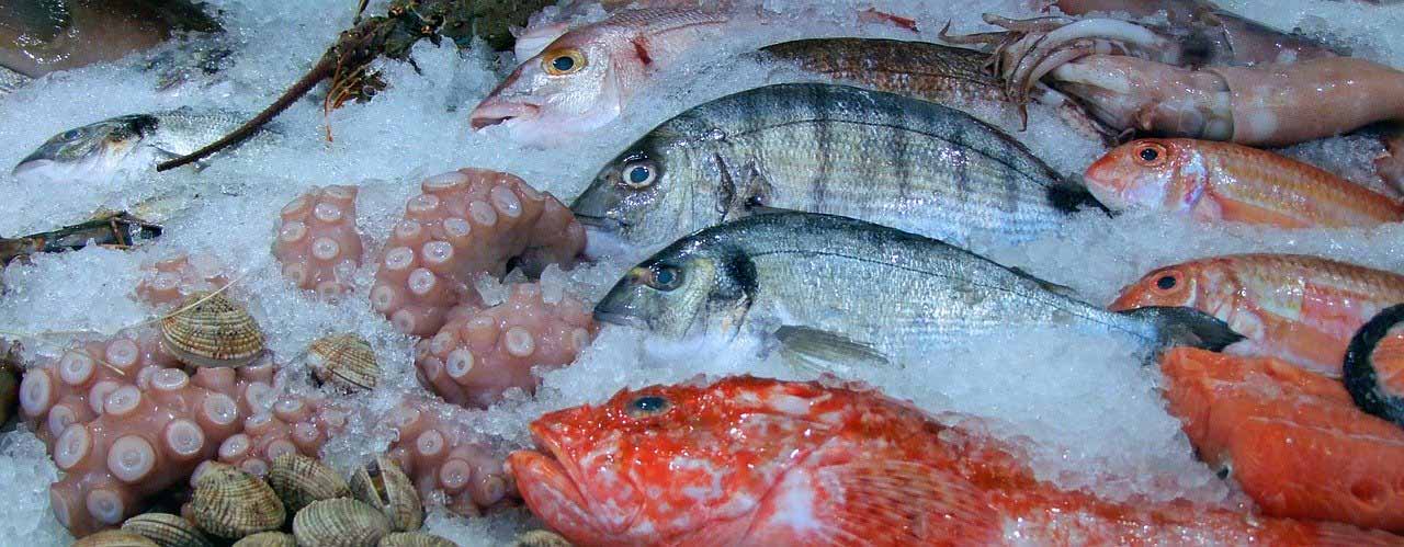 Quels poissons manger à quelle saison : le guide parfait pour vous et l’environnement
