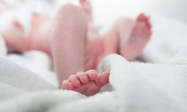 Naissance d’un bébé suite à une greffe de tissu ovarien