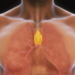 Stimuler le point thymus pour un bien-être optimal