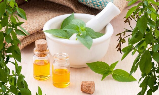 Les plantes anti-douleur qui marchent