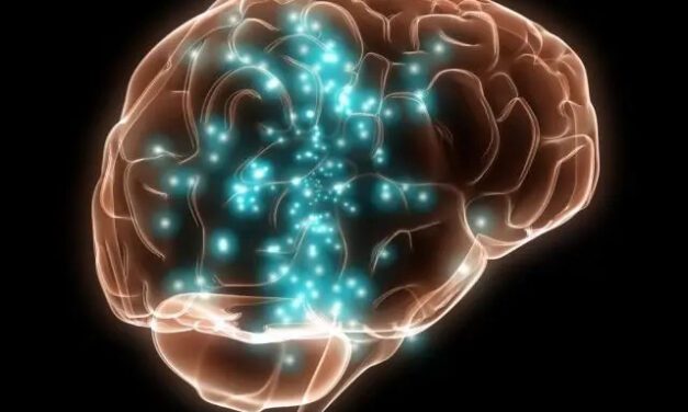fonctionnement du cerveau dans la détection et la régulation de l’inflammation