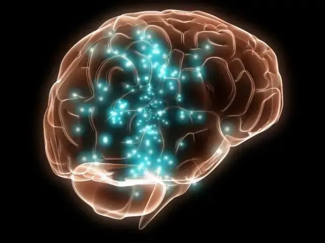 fonctionnement du cerveau dans la détection et la régulation de l’inflammation