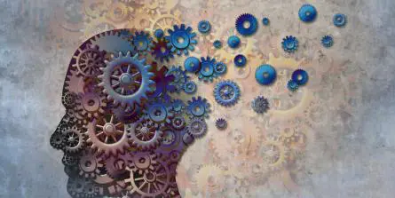 Maladie d’Alzheimer : le programme ReCODE inverse le déclin cognitif