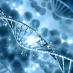 Troubles du neurodéveloppement chez l’enfant : un nouveau gène à l’origine des problèmes !