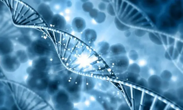 Troubles du neurodéveloppement chez l’enfant : un nouveau gène à l’origine des problèmes !