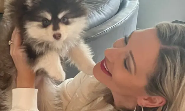 Pourquoi articule-t-on plus pour parler aux bébés et aux chiots