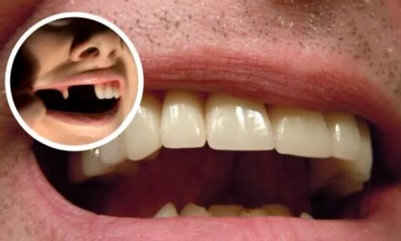 Révolution dentaire : faire repousser vos dents sera bientôt possible