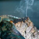 Purification spirituelle : découvrez le pouvoir des tresses de cèdre, genévrier et sauge !