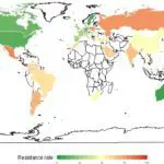 Résistance aux antibiotiques à l’échelle mondiale