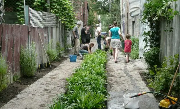 Végétaliser les villes : une solution contre le réchauffement climatique