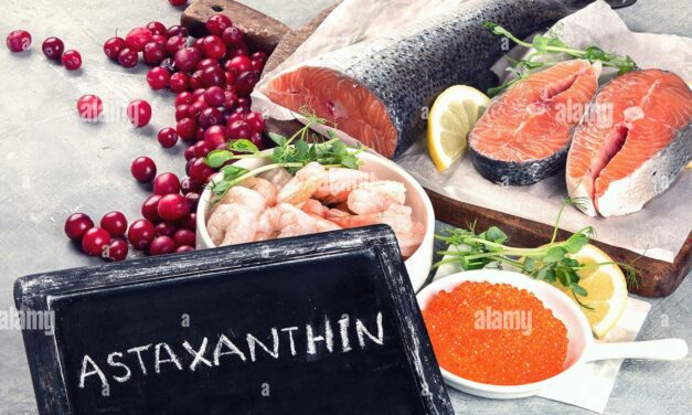 L’astaxanthine : plus puissant que la vitamine C, la vitamine E et la coenzyme Q10