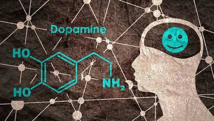 dopamine-liberez-vous-de-langoisse-de-la-depression-et-des-phobies-grace-a-ce-neurotransmetteur-essentiel