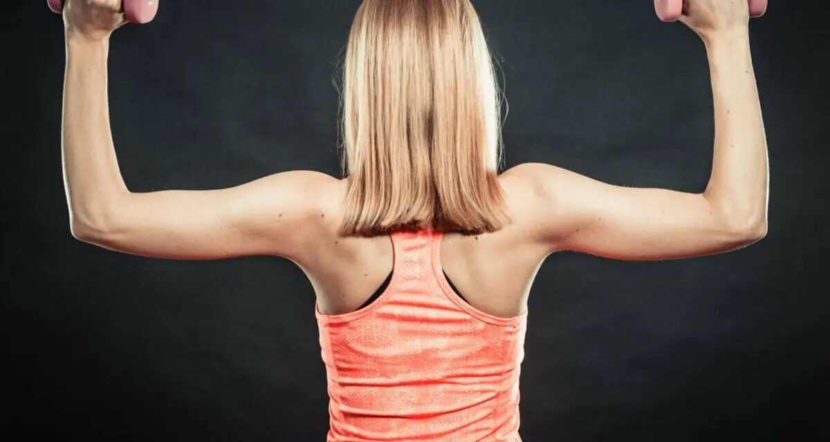 Comment augmenter votre masse musculaire ?