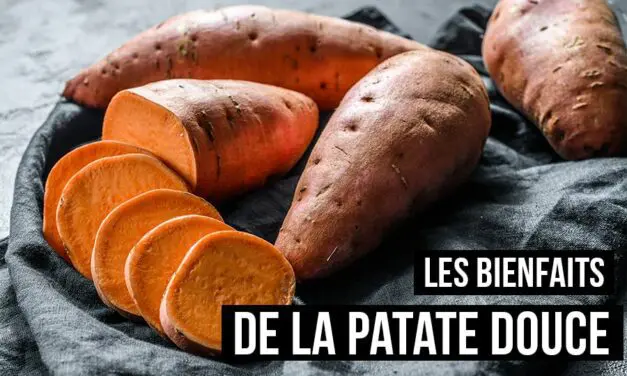 Les patates douces : bienfaits nutritionnels et recettes savoureuses