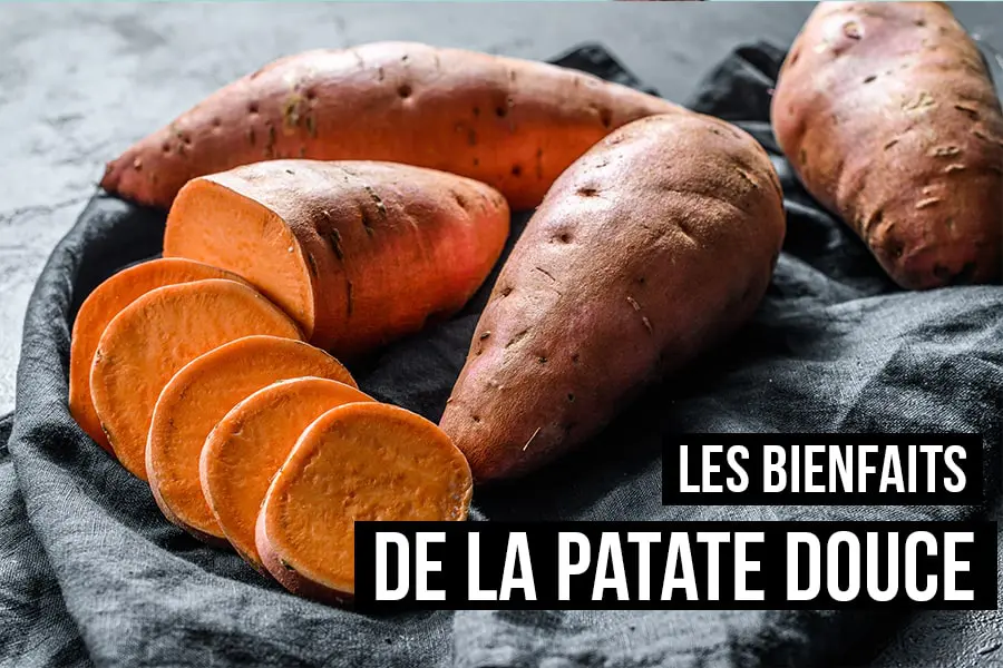 Les patates douces : bienfaits nutritionnels et recettes savoureuses