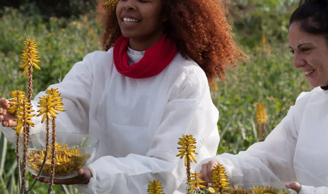Le Bakuchiol, l’alternative naturelle au rétinol