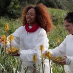 Le Bakuchiol, l’alternative naturelle au rétinol