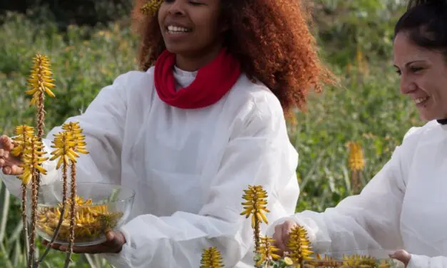 Le Bakuchiol, l’alternative naturelle au rétinol