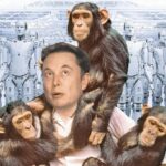 Elon Musk se défend face aux singes mourants pour les tests de son implant cérébral Neuralink