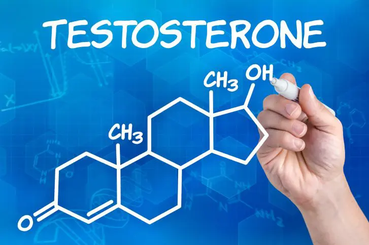 Comment augmenter naturellement son taux de testostérone ?