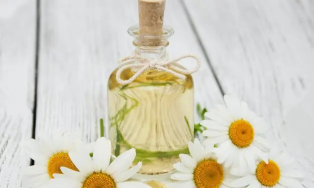 Les traitements contre la douleur en naturopathie