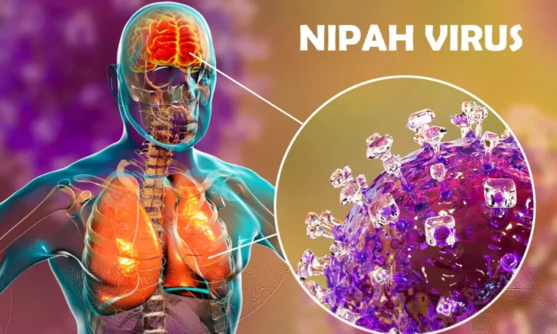 Le Virus Nipah, prochaine pandémie à l’horizon?