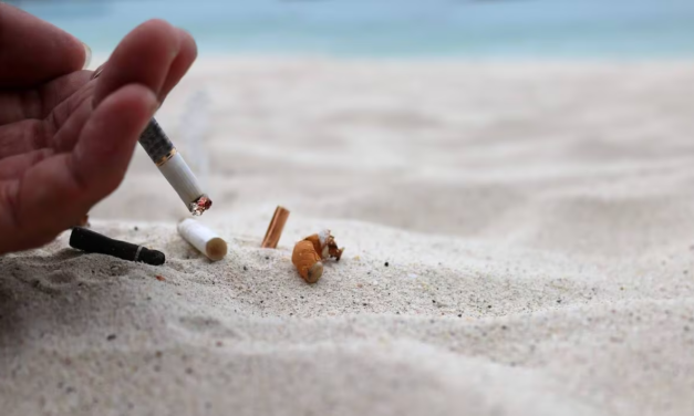 Interdiction de fumer sur les plages et parcs – Cigarettes à 12€