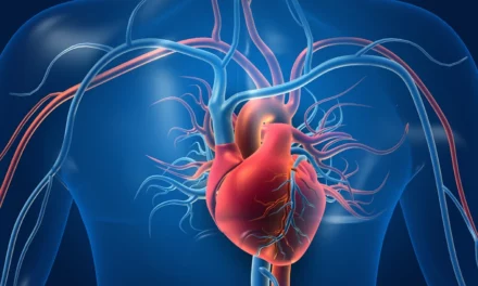 Révolution en Cardiologie : comment les ultrasons non invasifs changent le traitement des valves cardiaques ?