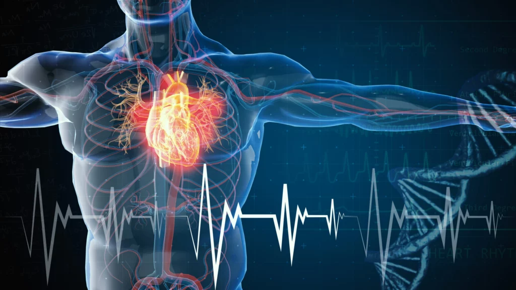comprendre-les-maladies-cardiometaboliques
