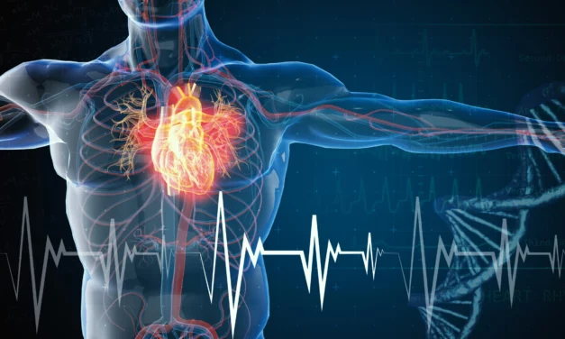 Comprendre les maladies cardiométaboliques