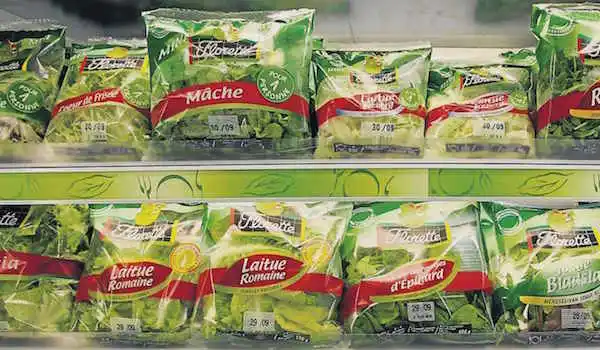 Pesticides : Les pires salades en sachet selon 60 Millions de Consommateurs