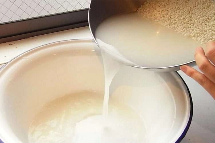 Santé : pourquoi devez-vous garder l’eau de cuisson du riz ?
