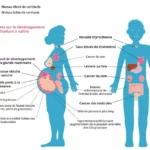 Attention PFAS : voici pourquoi ces polluants éternels sont dangereux pour notre santé