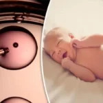 Santé des enfants nés après assistance médicale à la procréation : faible risque de leucémie