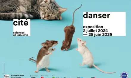 Entrez dans la danse avec l’exposition « Danser » à la Cité des sciences et de l’industrie !