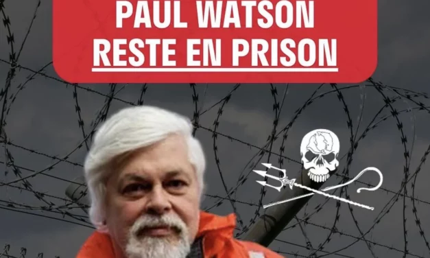 Paul Watson reste en prison jusqu’au 5 septembre