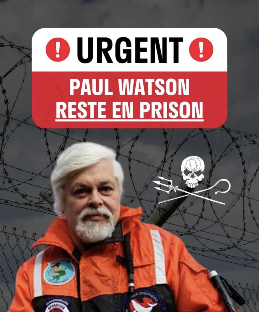 paul-watson-reste-en-prison-jusquau-5-septembre