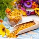Pollen cru lacto-fermenté : découvrez pourquoi vous devriez l’essayer pour votre santé
