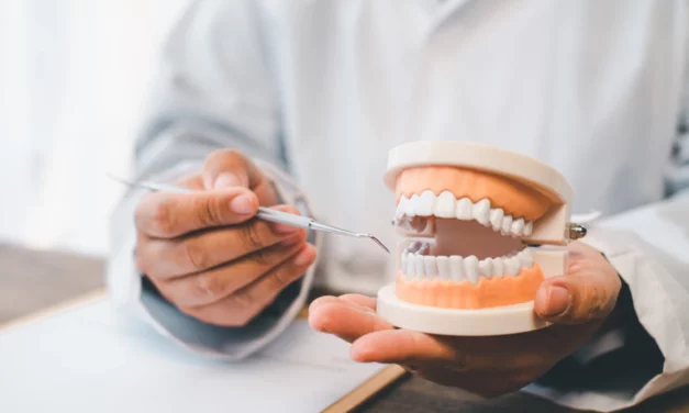 Adultes et orthodontie : pourquoi est-ce le moment idéal pour se faire soigner ?