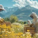 Le monde fascinant de l’apiculture