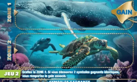 Mission Nature 2025 : le jeu de grattage pour protéger la biodiversité