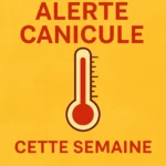 Canicule en France début août 2025 : ce que disent les prévisions météo