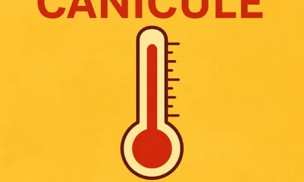 Canicule en France début août 2025 : ce que disent les prévisions météo