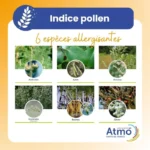 Pollens : une appli gratuite vous dit enfin où ils se trouvent près de chez vous