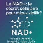 Le NAD+ : le secret cellulaire pour mieux vieillir ?