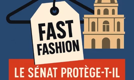 Fast fashion : le Sénat protège-t-il les grandes marques ?