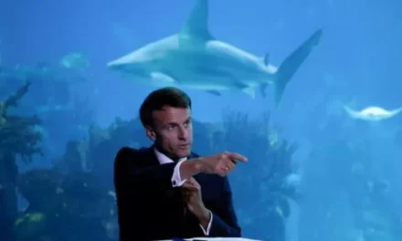 Urgence Océan sur France 2 : Emmanuel Macron en direct