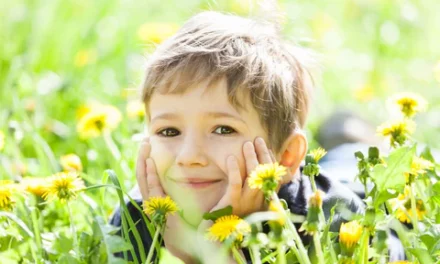 Fleurs de Bach pour enfants : apaiser les émotions naturellement