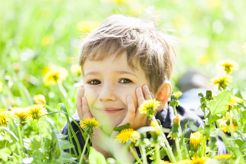 Fleurs de Bach pour enfants : apaiser les émotions naturellement